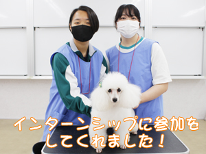 高校生がインターンシップで来校！
